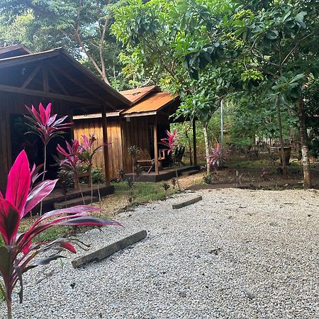 Finca Avellanas Lorena Екстериор снимка