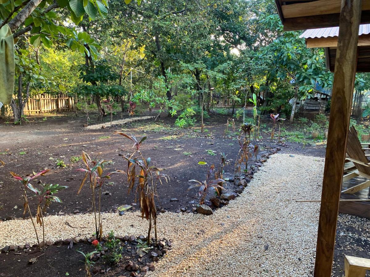Finca Avellanas Lorena Екстериор снимка