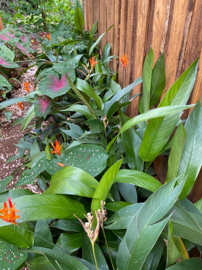 Finca Avellanas Lorena Екстериор снимка