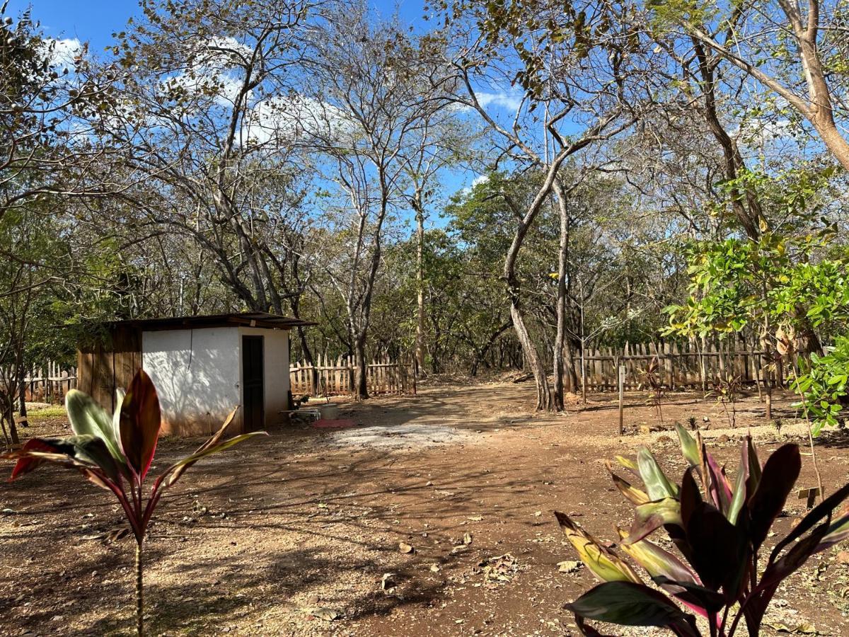 Finca Avellanas Lorena Екстериор снимка