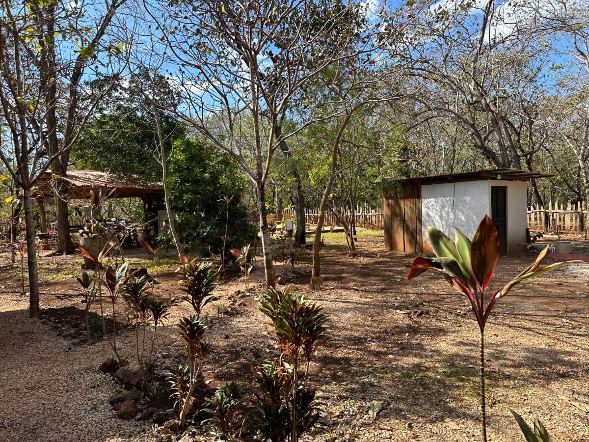 Finca Avellanas Lorena Екстериор снимка
