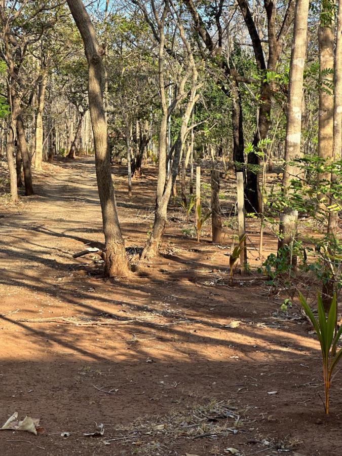 Finca Avellanas Lorena Екстериор снимка