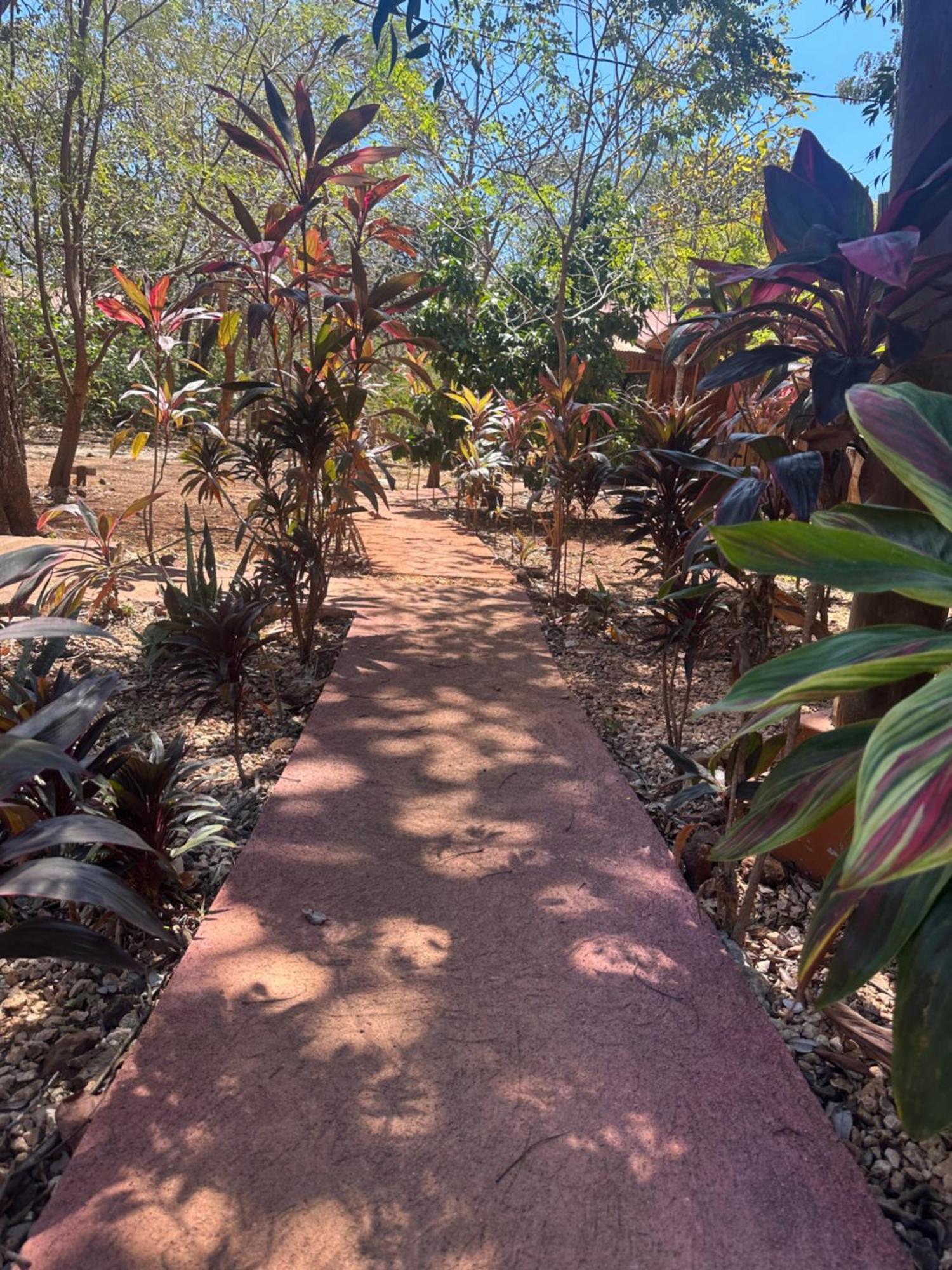 Finca Avellanas Lorena Екстериор снимка