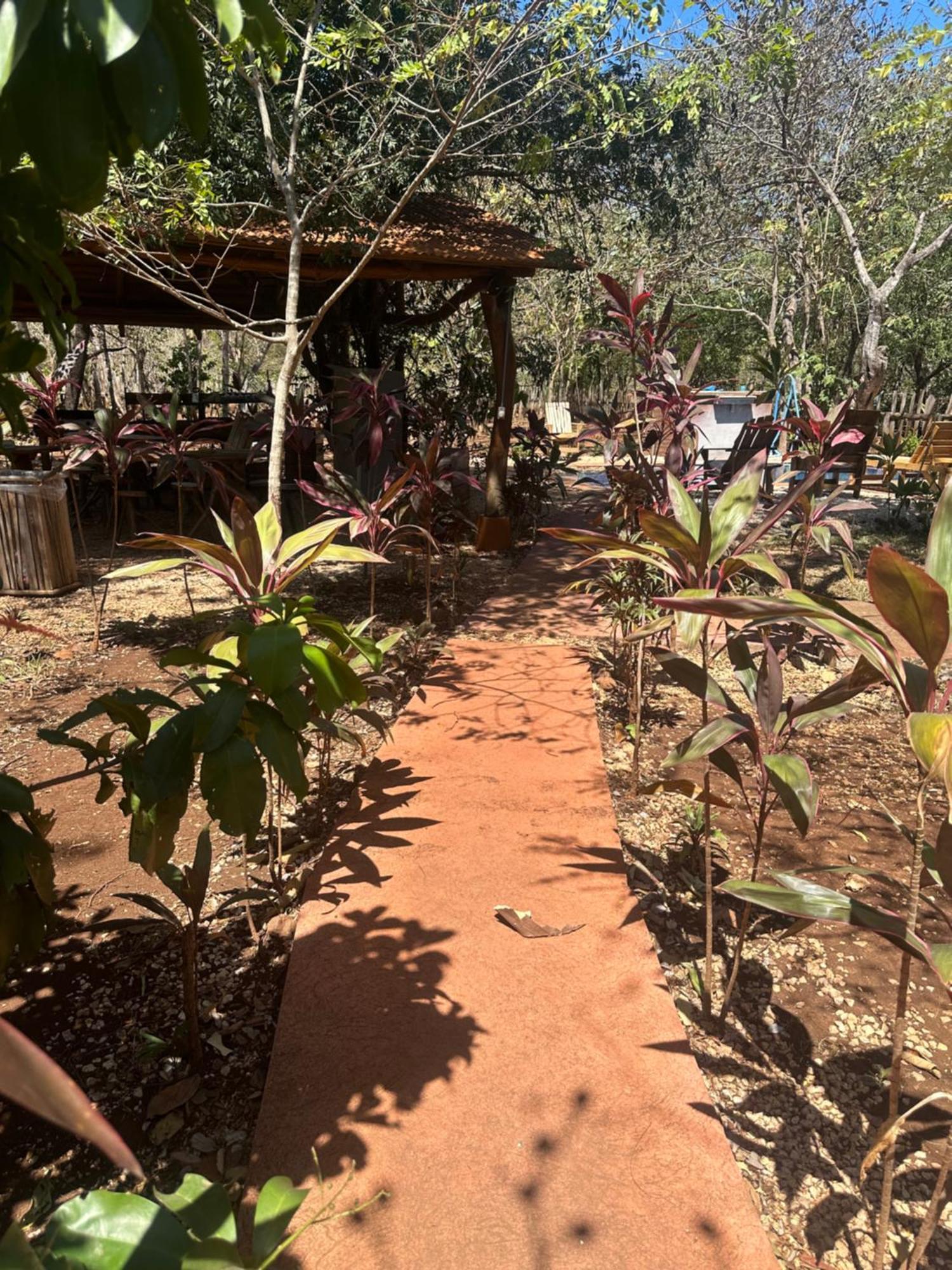 Finca Avellanas Lorena Екстериор снимка