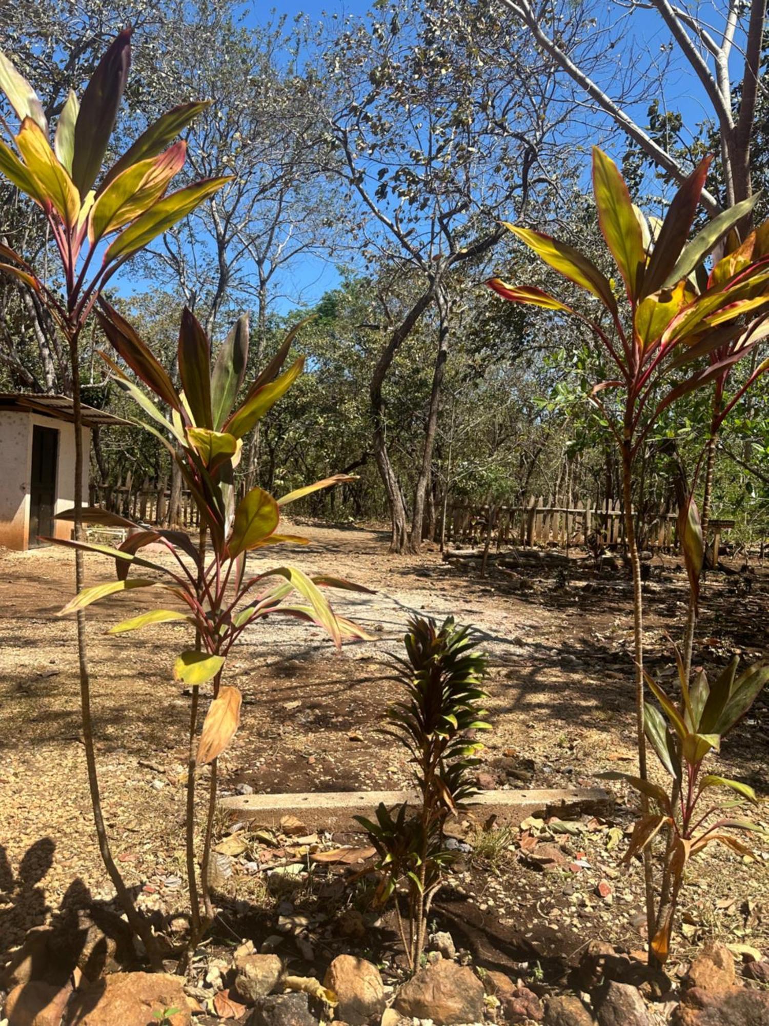 Finca Avellanas Lorena Екстериор снимка