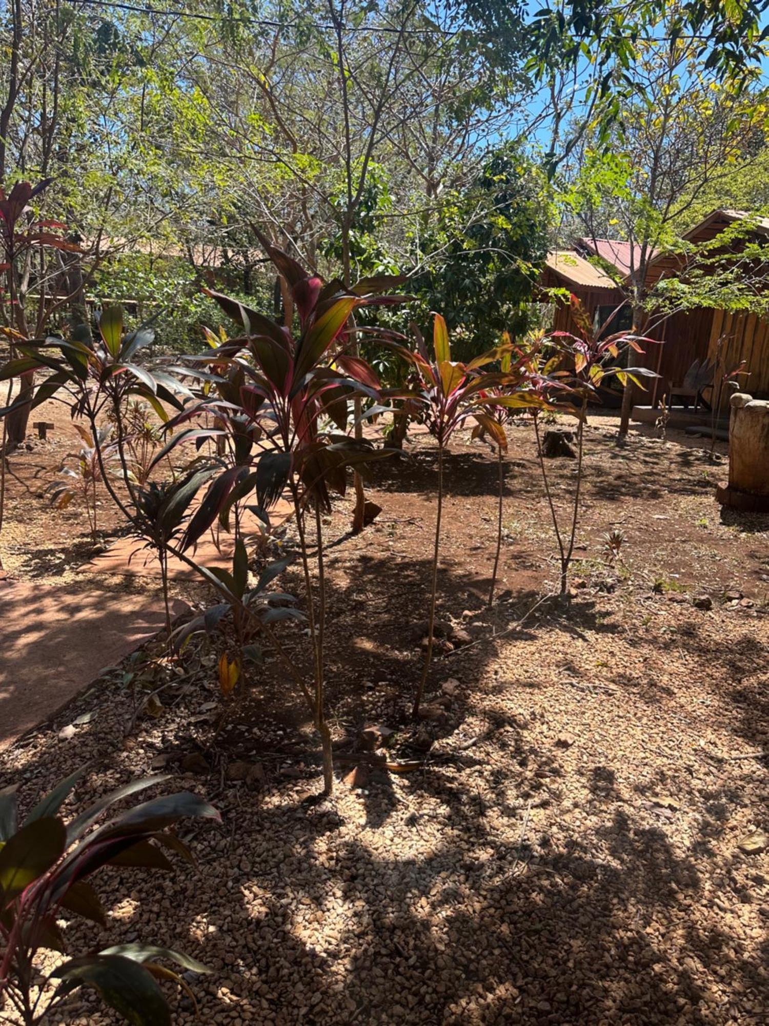 Finca Avellanas Lorena Екстериор снимка