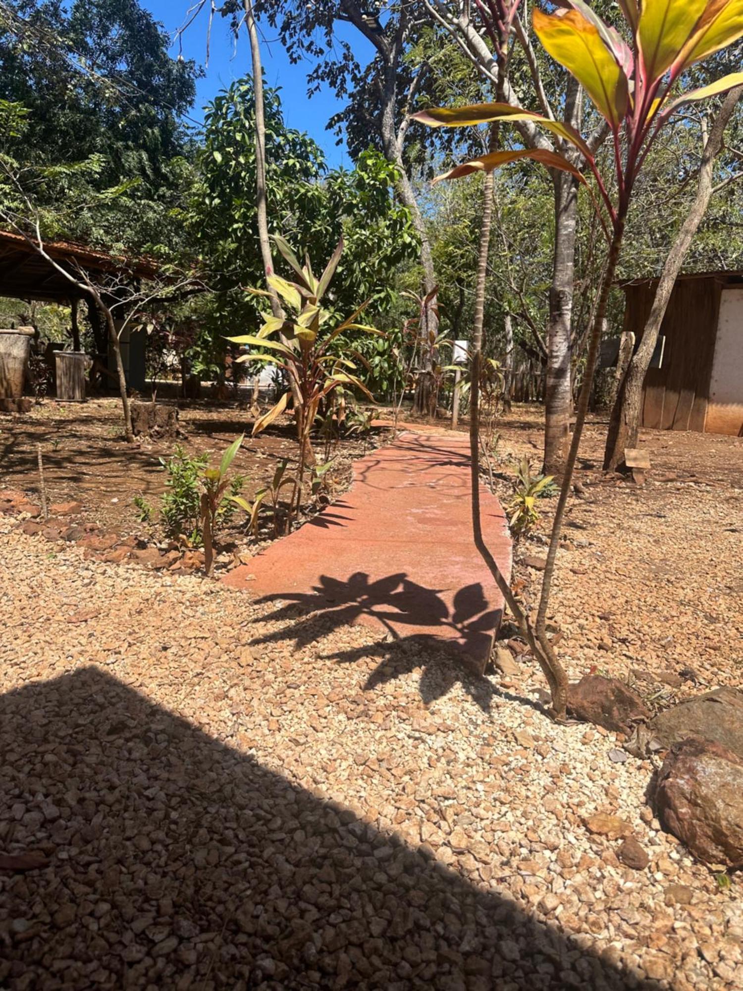 Finca Avellanas Lorena Екстериор снимка