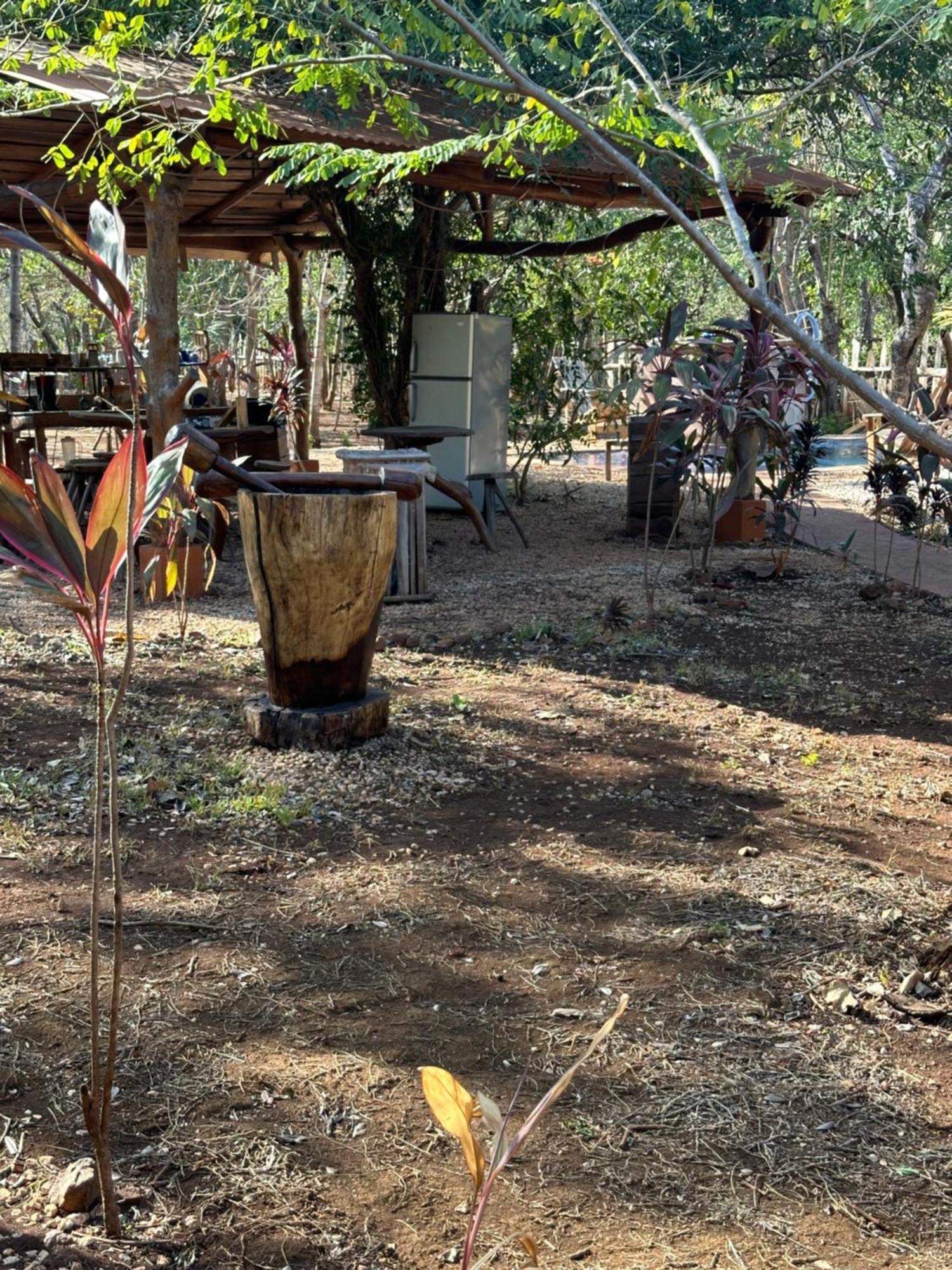 Finca Avellanas Lorena Екстериор снимка
