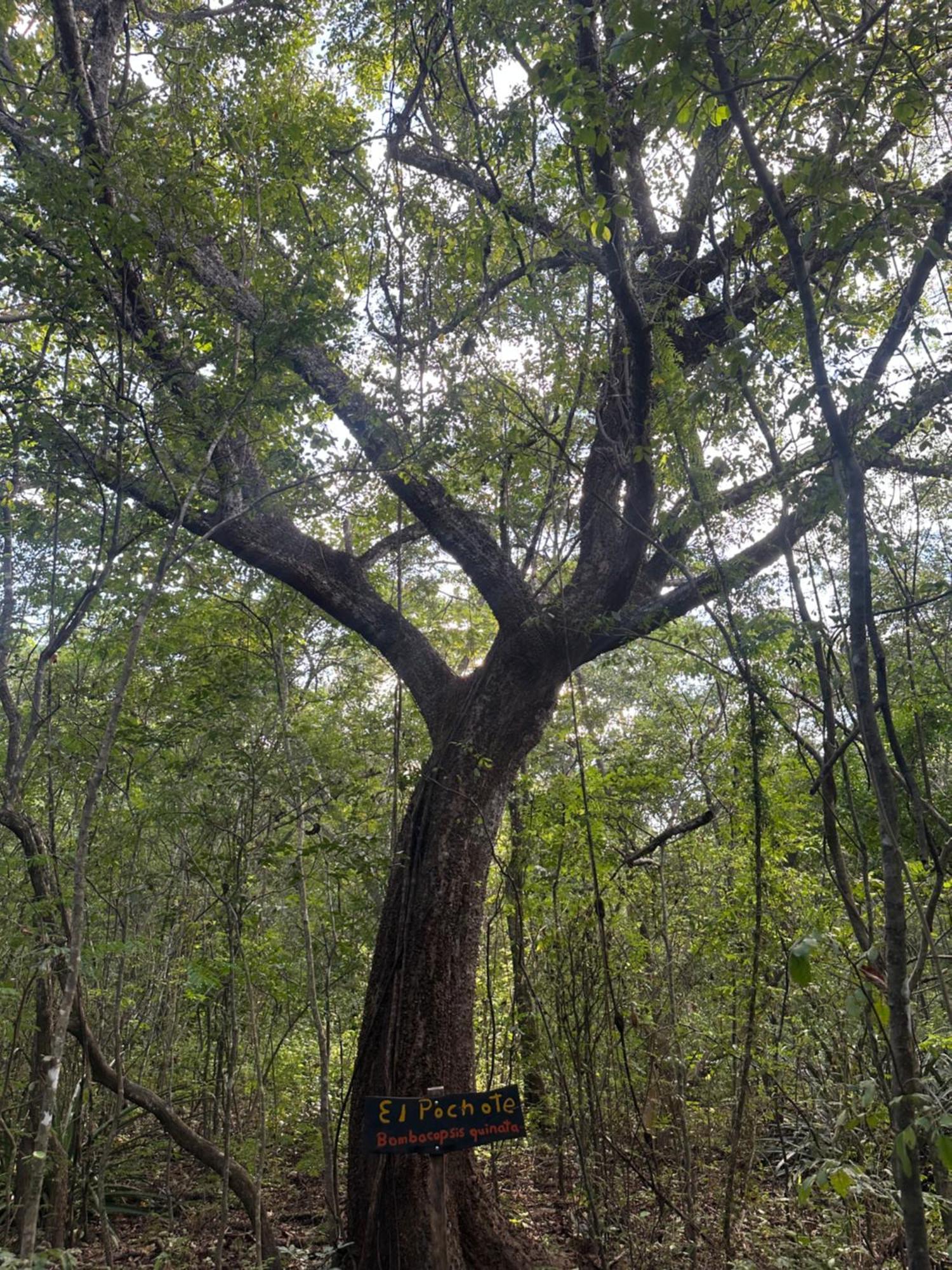 Finca Avellanas Lorena Екстериор снимка