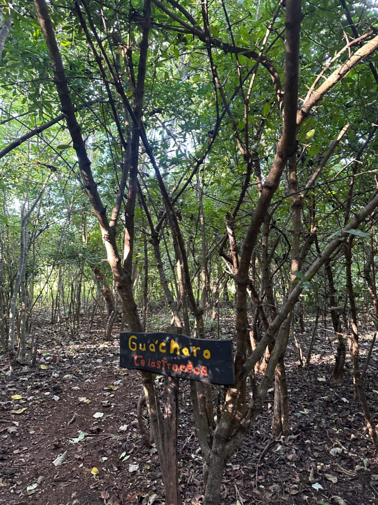 Finca Avellanas Lorena Екстериор снимка